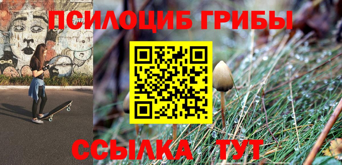 дарнет шоп  Псилоцибиновые грибы мицелий  Вход с VPN  Псилоцибиновые грибы прущие грибы  Урус-Мартан 