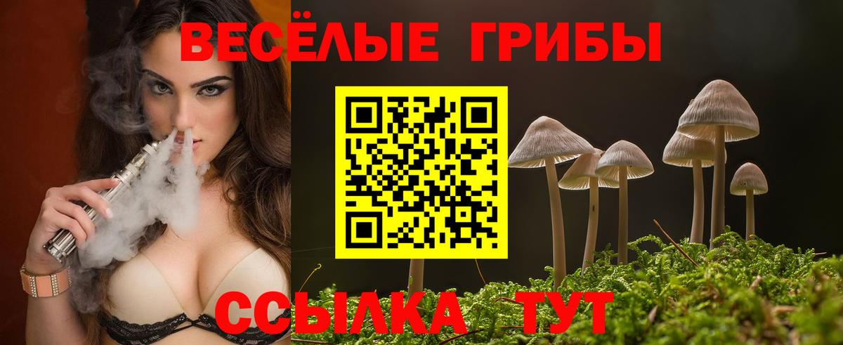 Галлюциногенные грибы ЛСД Урус-Мартан